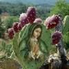 rosariogonza232